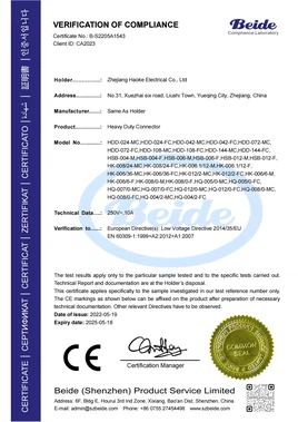 20250710145007 20250710145007